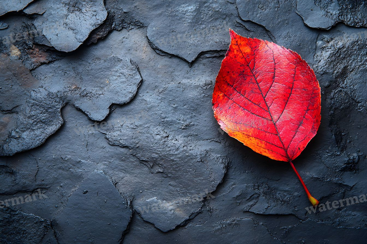 Autumn Season Backdrop Images