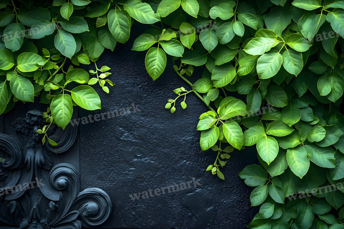 Black Vintage Textured Wall Backdrop Images