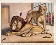 Animals Vintage Prints