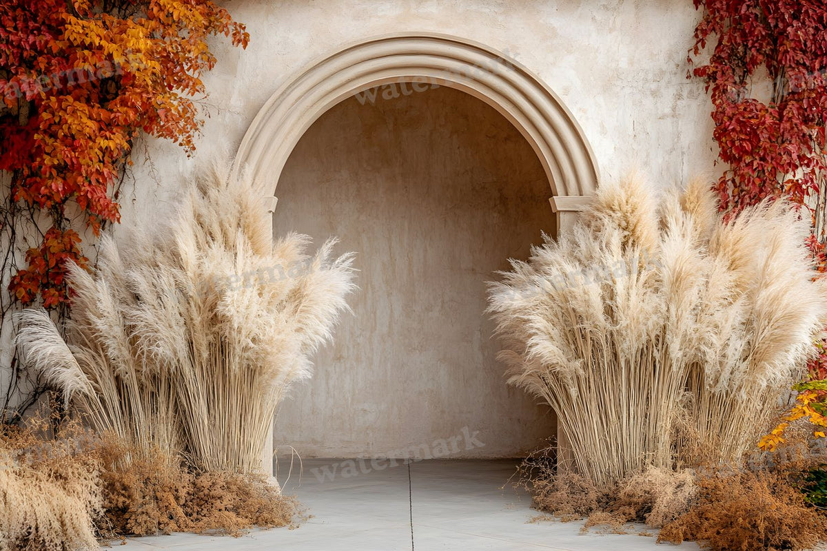 Boho Beige Arch Backdrop Images