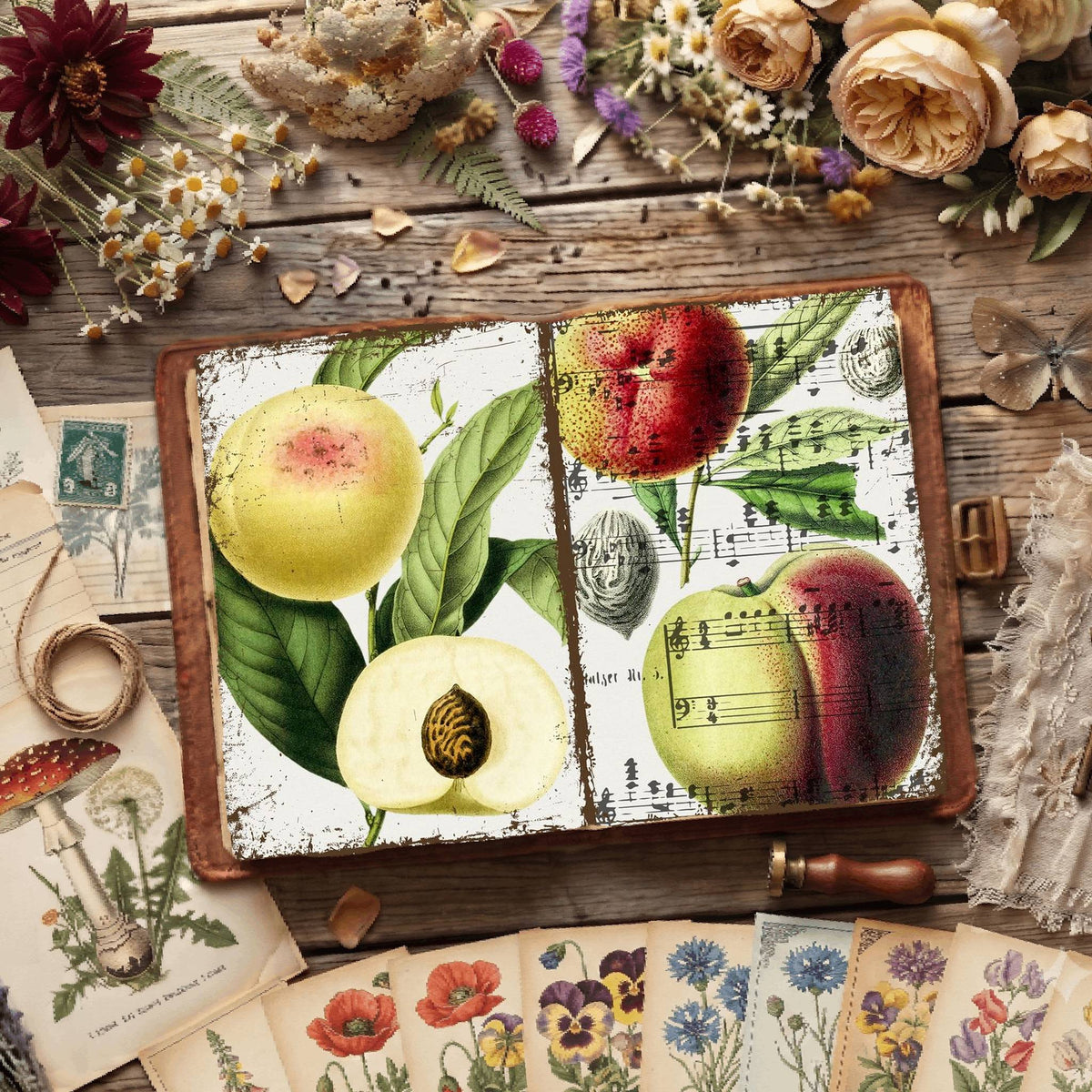 Botanical Illustrations Digital Papers