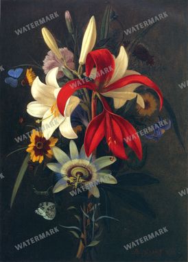 Botanical Vintage Prints