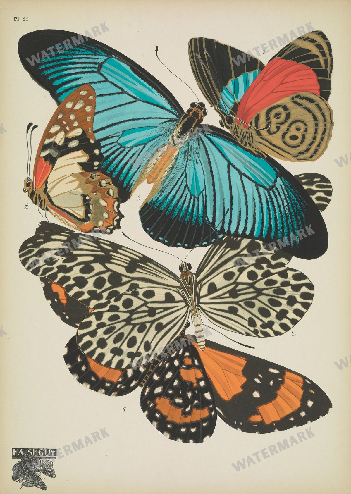 E A Seguy Vintage Prints