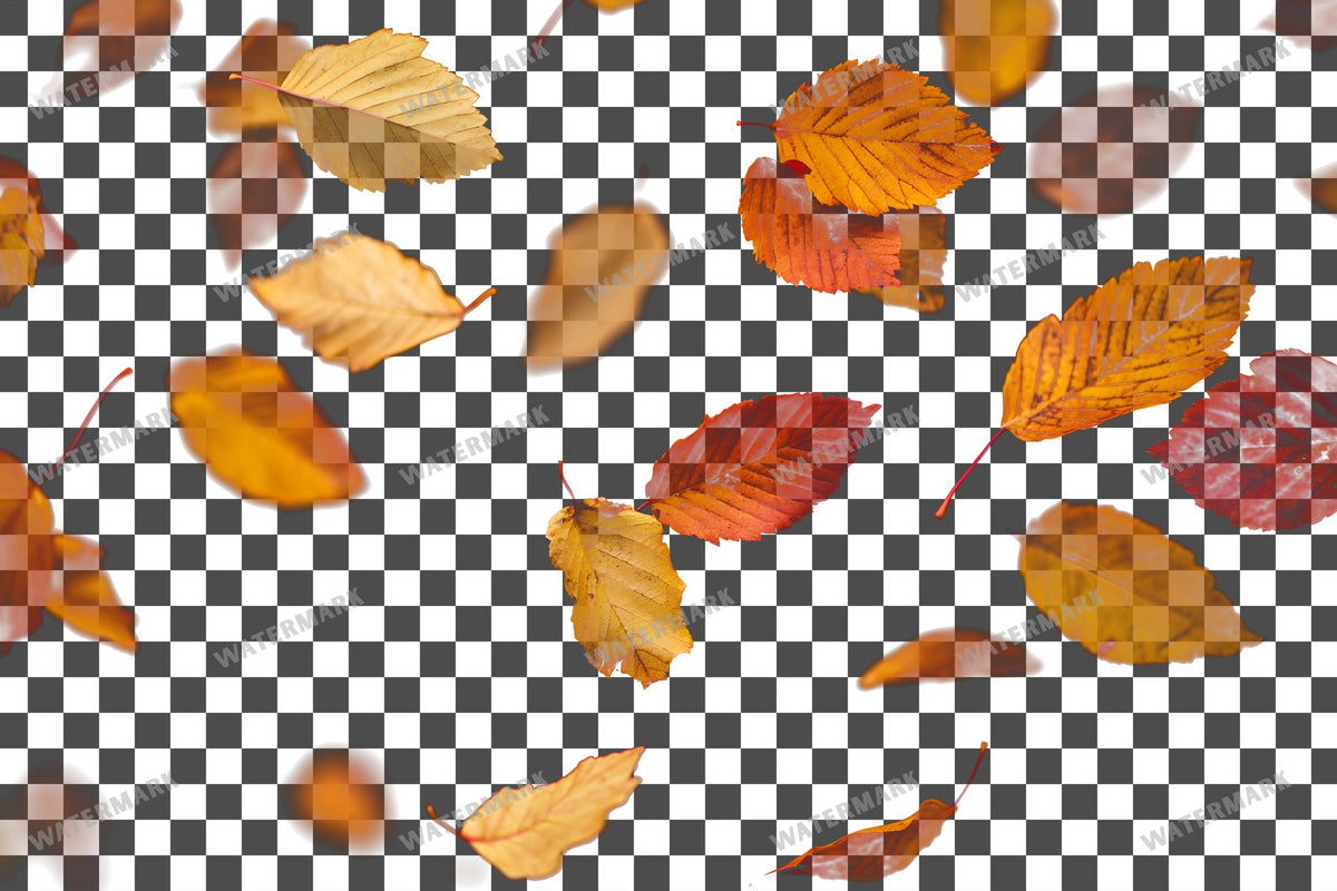 Golden Autumn Leaves Floating PNG overlay on a transparent checkered background, preview 6