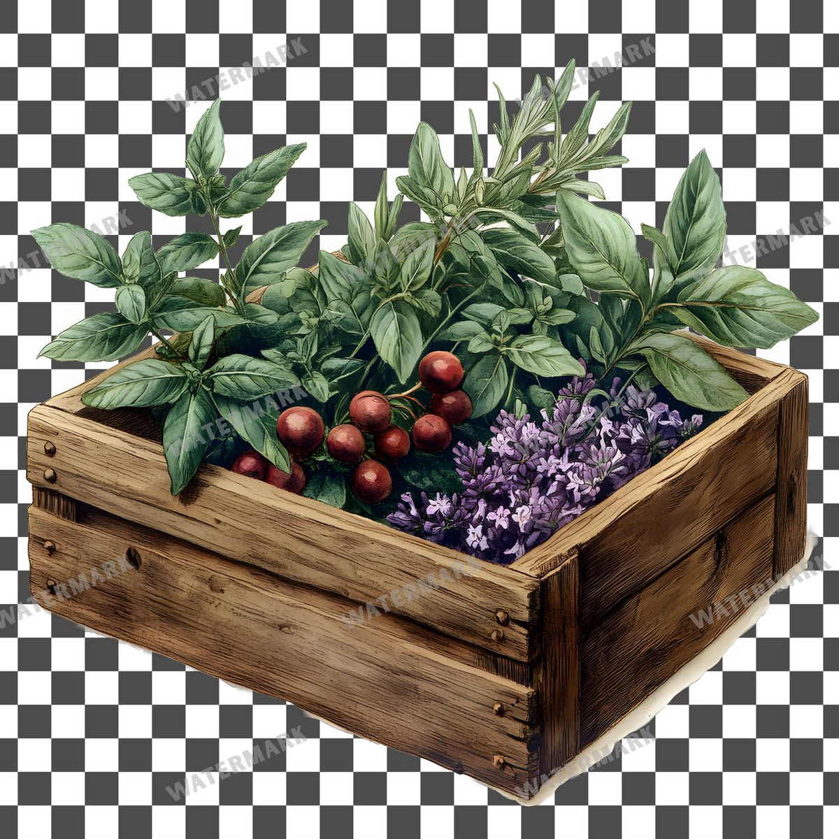 Herbs Vintage Style clipart PNG on a transparent background, design 6