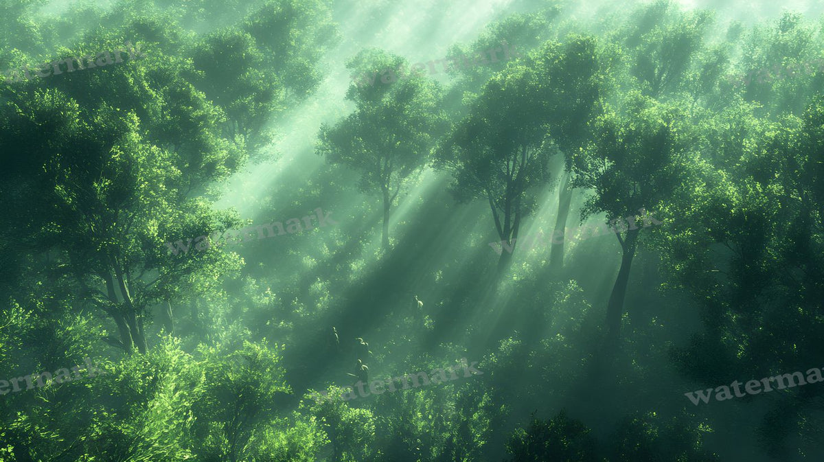 Mystical Forests Backdrop Images
