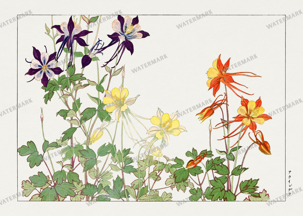 Seiyô Sôka Zufu Vintage Paintings