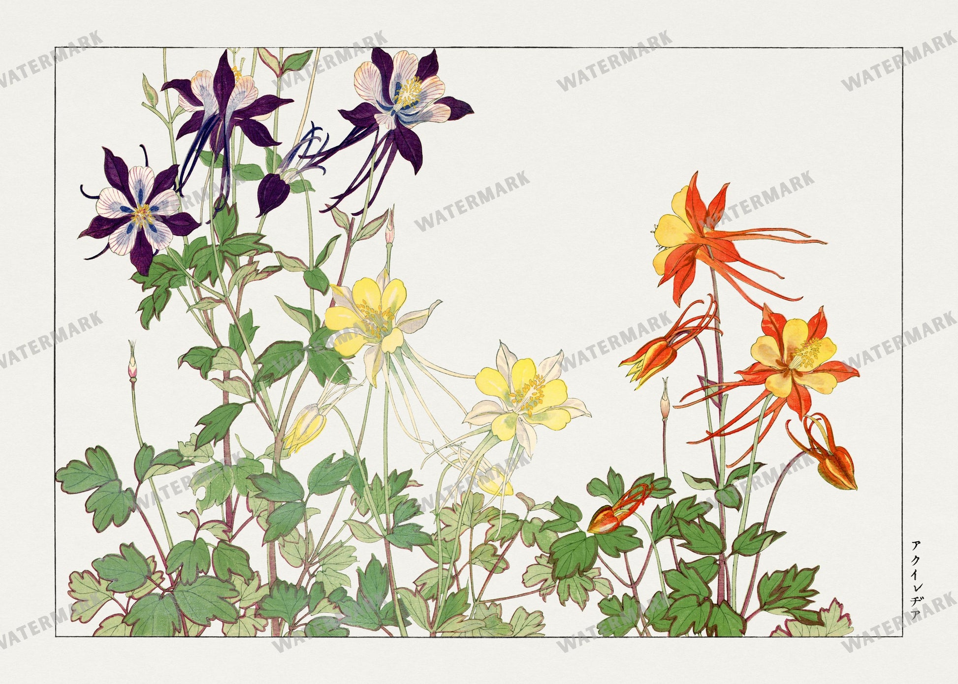 Seiyô Sôka Zufu Vintage Paintings