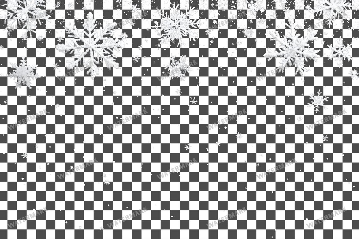 Snow Overlay