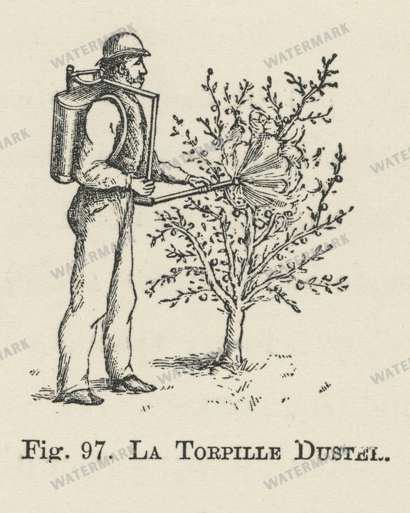 The Fruit Grower'S Guide Vintage Paintings