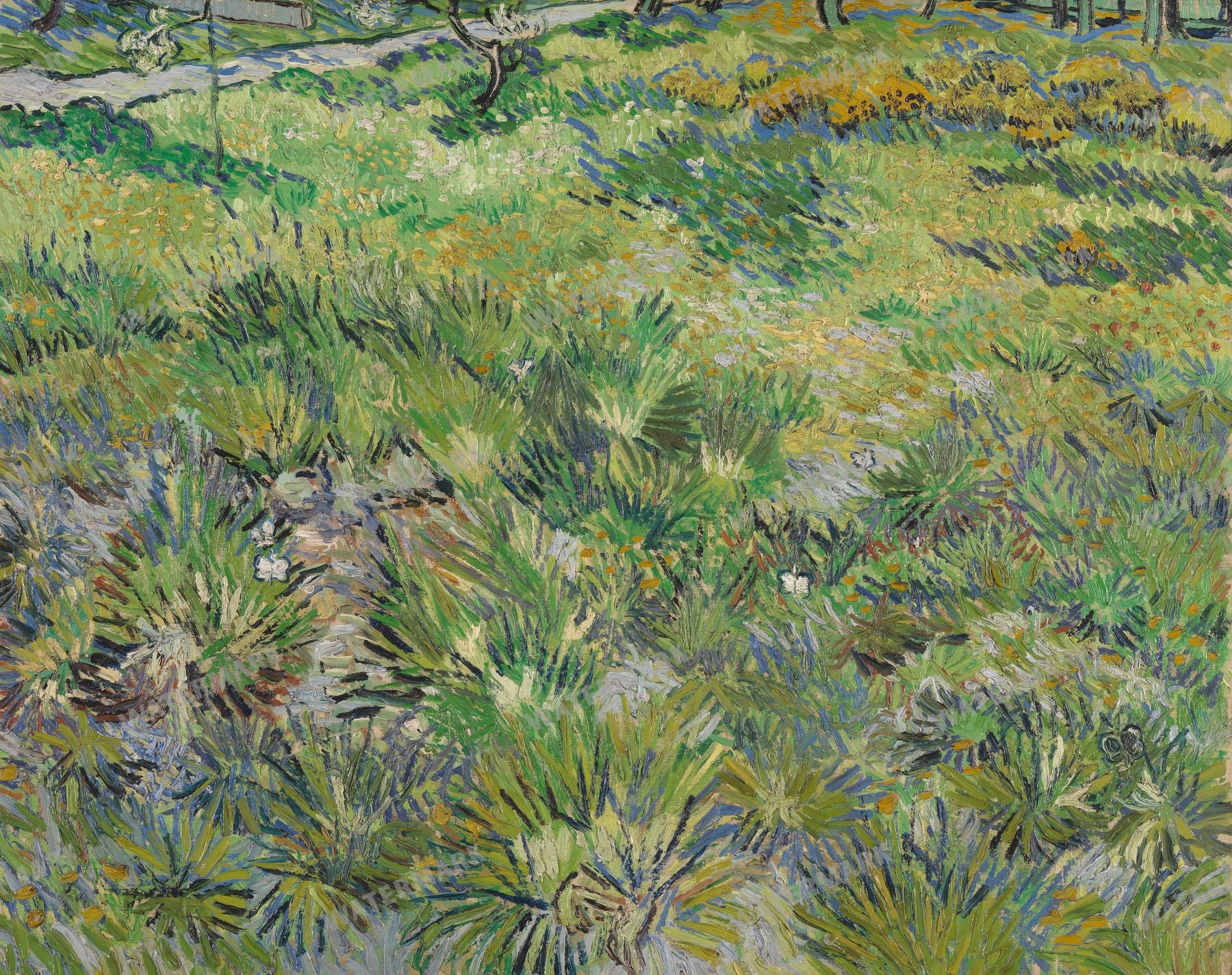 Vincent Willem Van Gogh Vintage Paintings