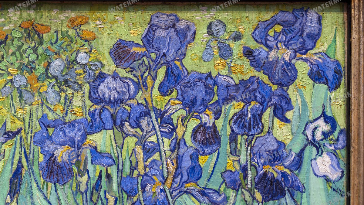Vincent Willem Van Gogh Vintage Paintings