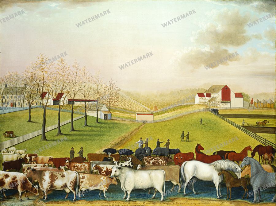 Wall Art Vintage Paintings