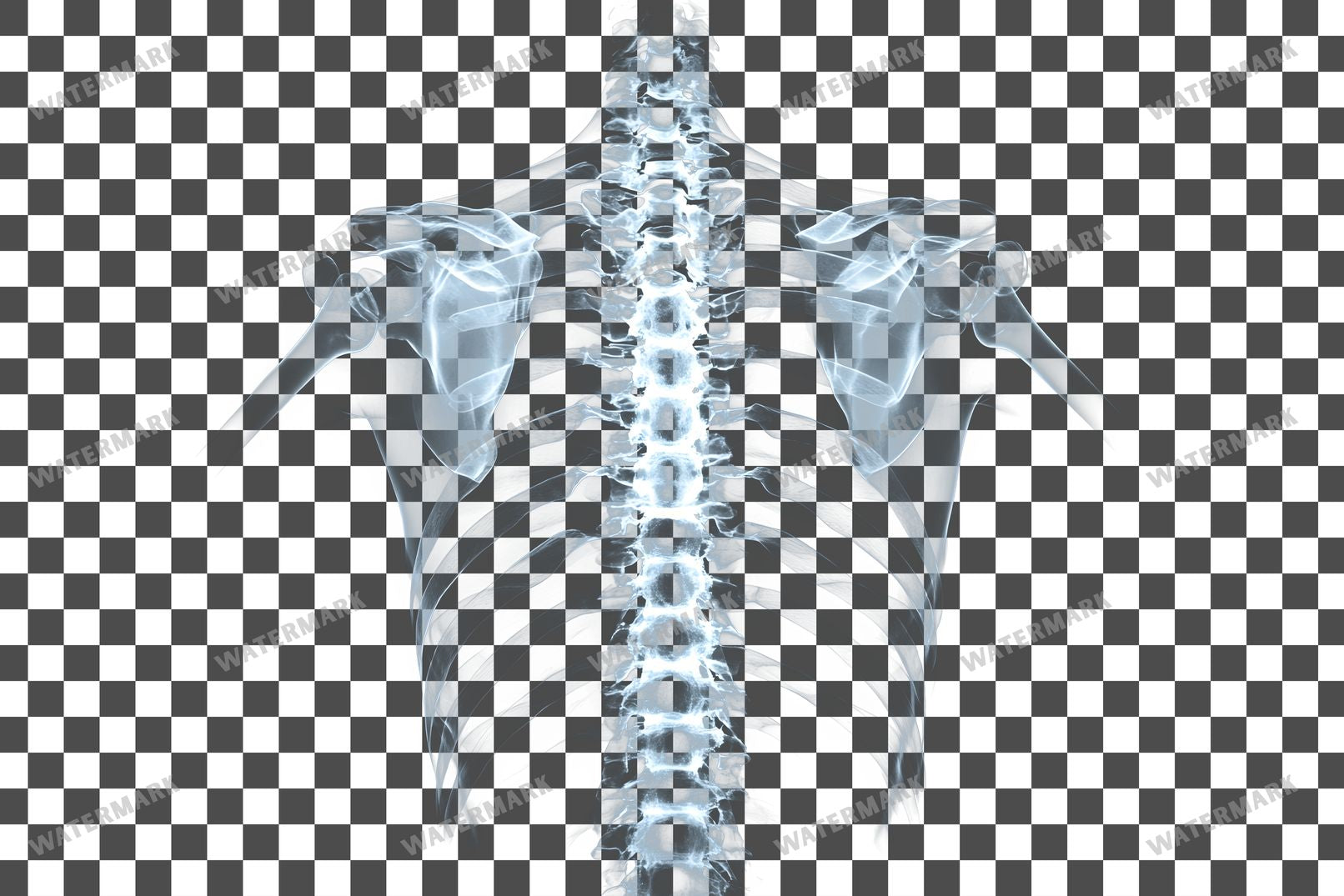 X-Ray Transparent Overlay Pngs