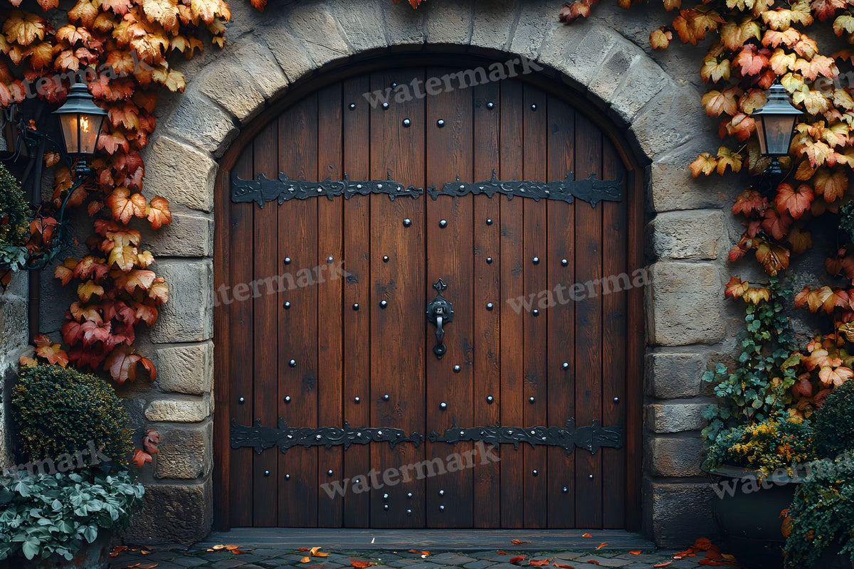 Aged Rustic Wood Door Backdrop Images