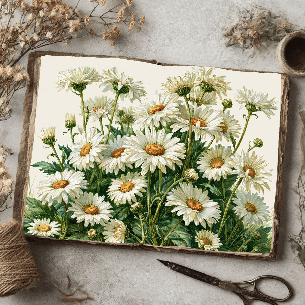 Meadow Daisy Botanical Cluster