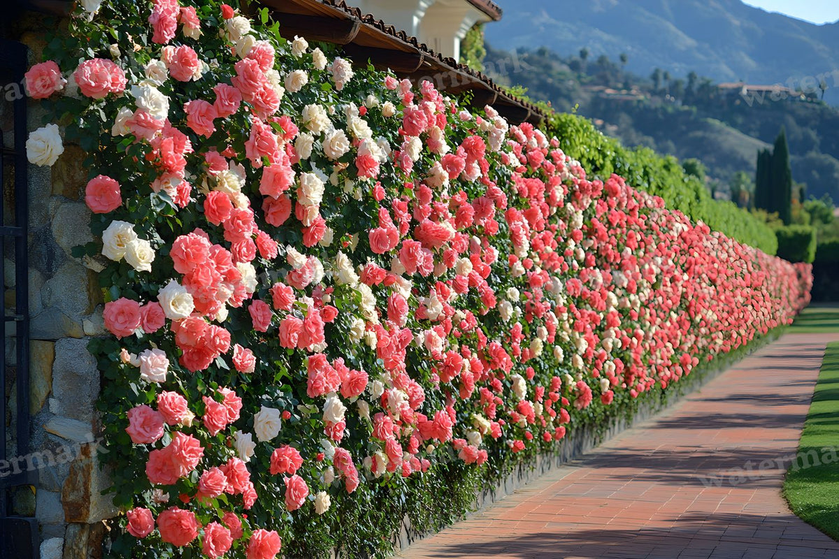 Romantic Rose Garden digital photo backdrop for photo editing, preview 6