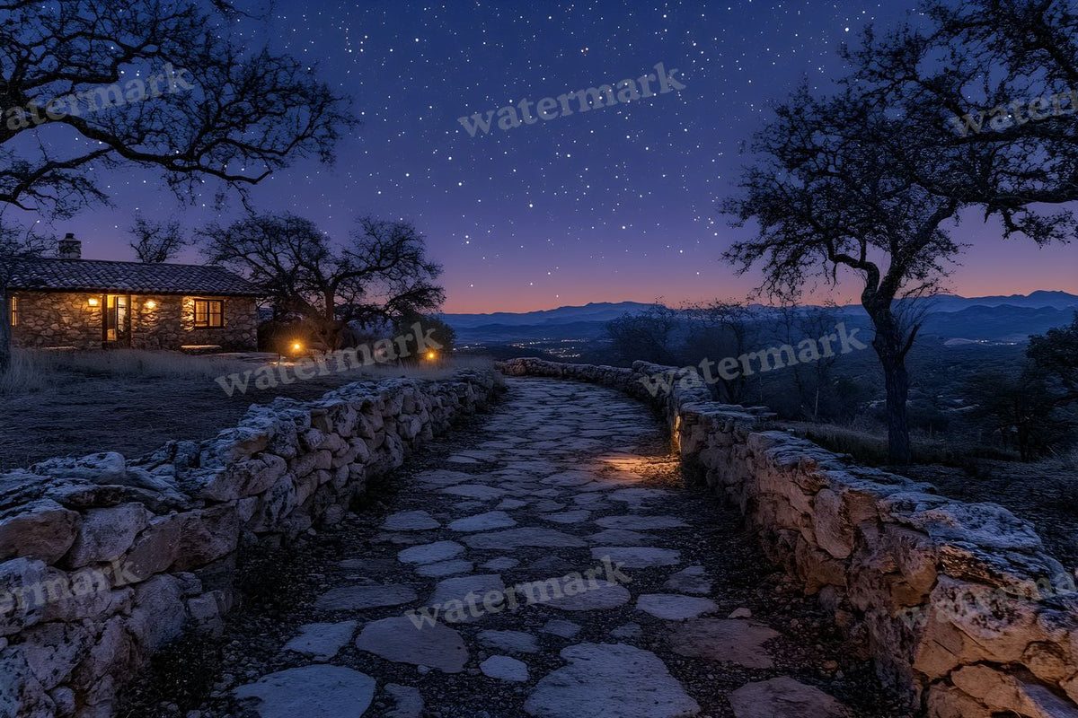 Starry Night digital photo backdrop for photo editing, preview 6