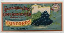 Ads Vintage Prints