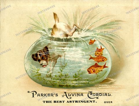 Advertisement Vintage Prints