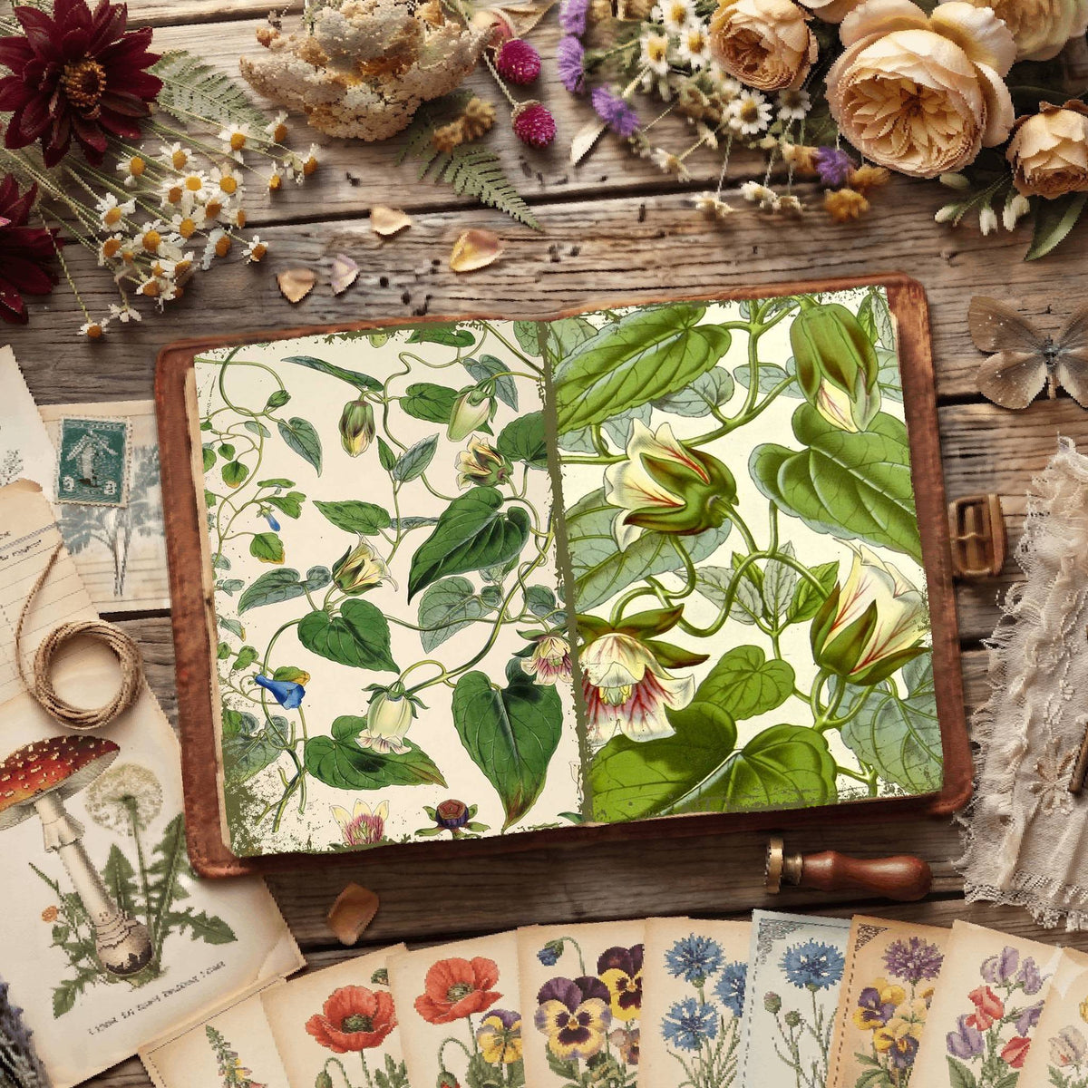Botanical Illustrations Digital Papers