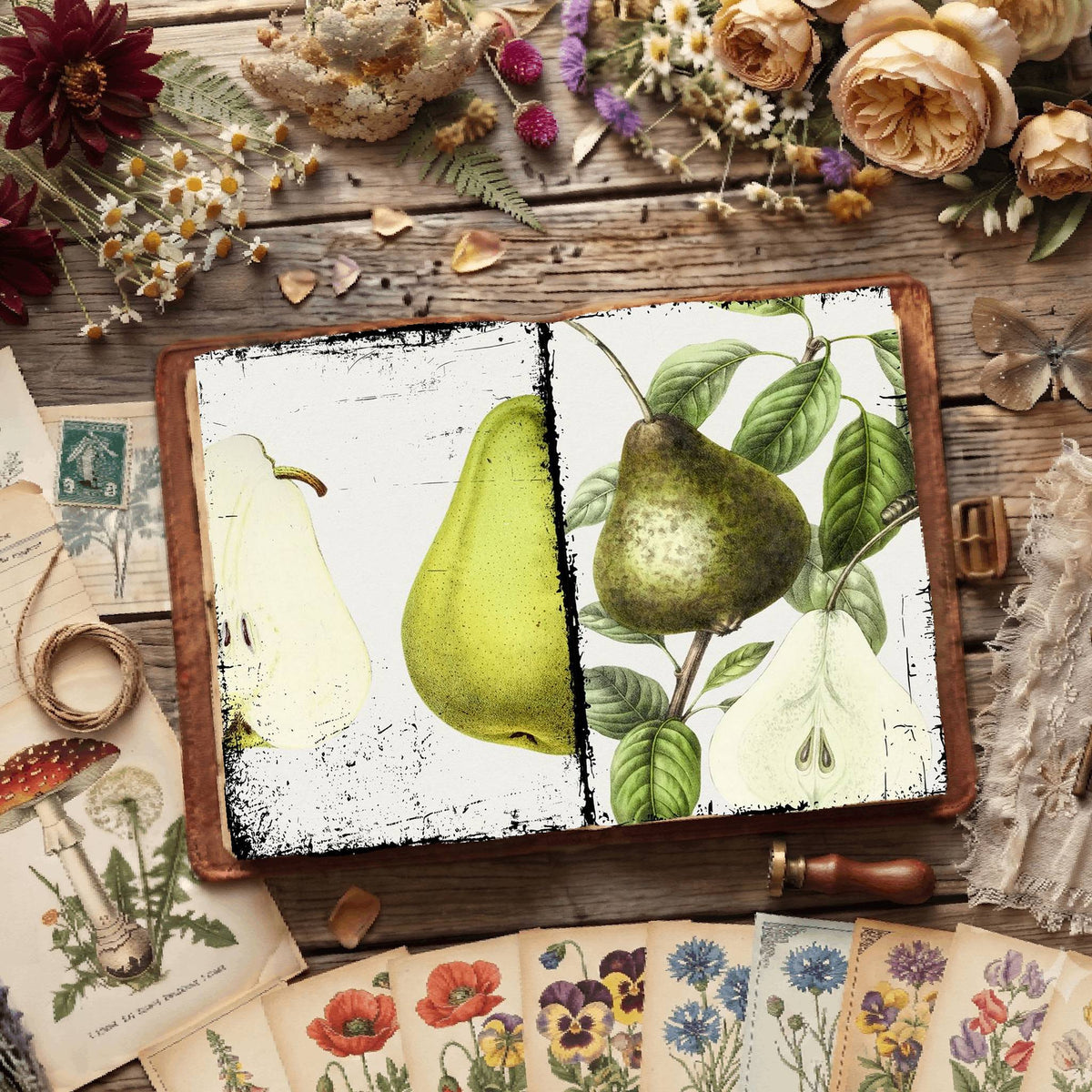 Botanical Illustrations Digital Papers