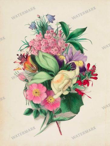 Botanical Vintage Prints