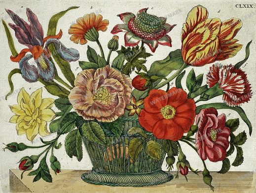 Botanical Vintage Prints