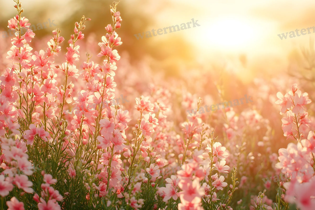 Dreamy Wildflower Meadow Backdrop Images