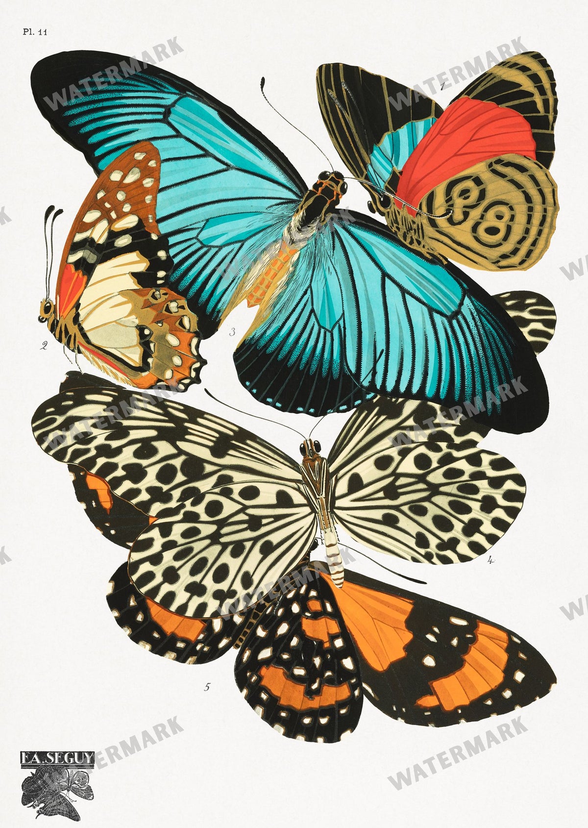 E A Seguy Vintage Prints