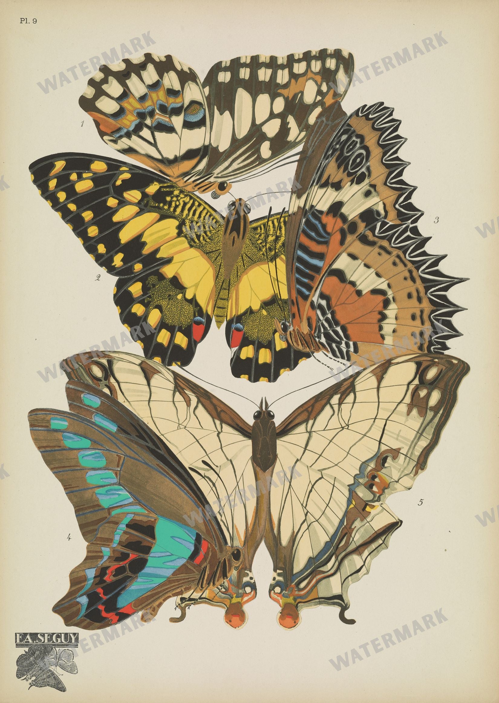 E A Seguy Vintage Prints