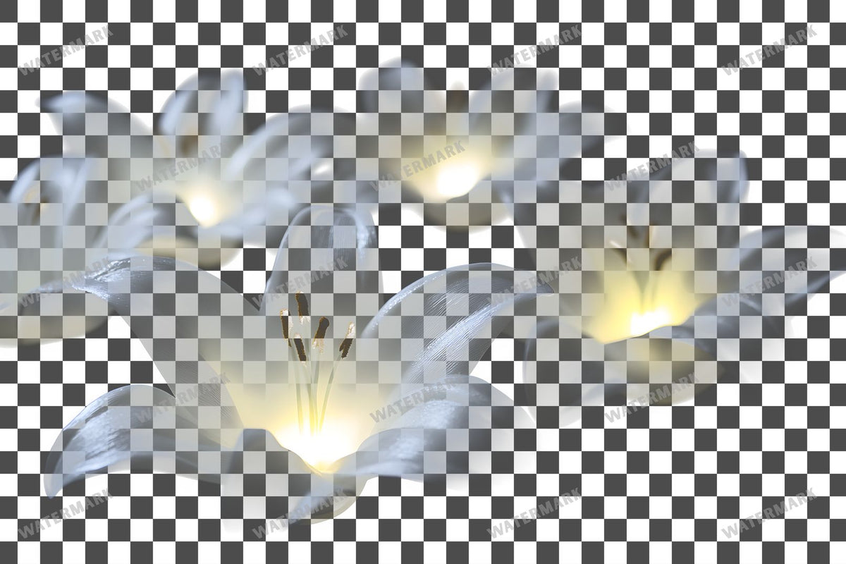 Easter Lilies Transparent Overlay Pngs