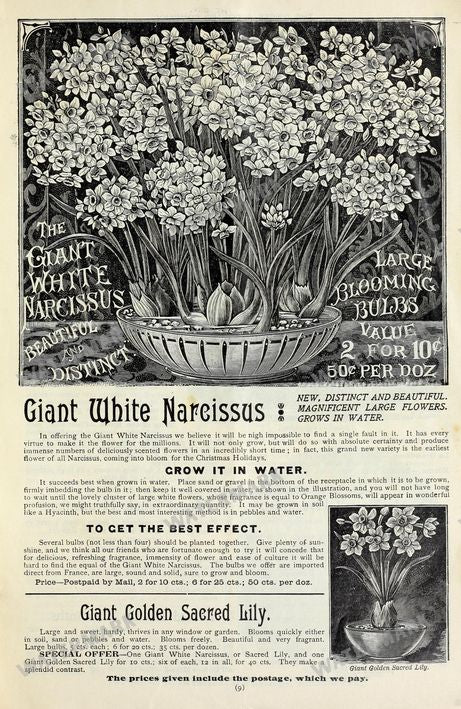 Floral Vintage Prints