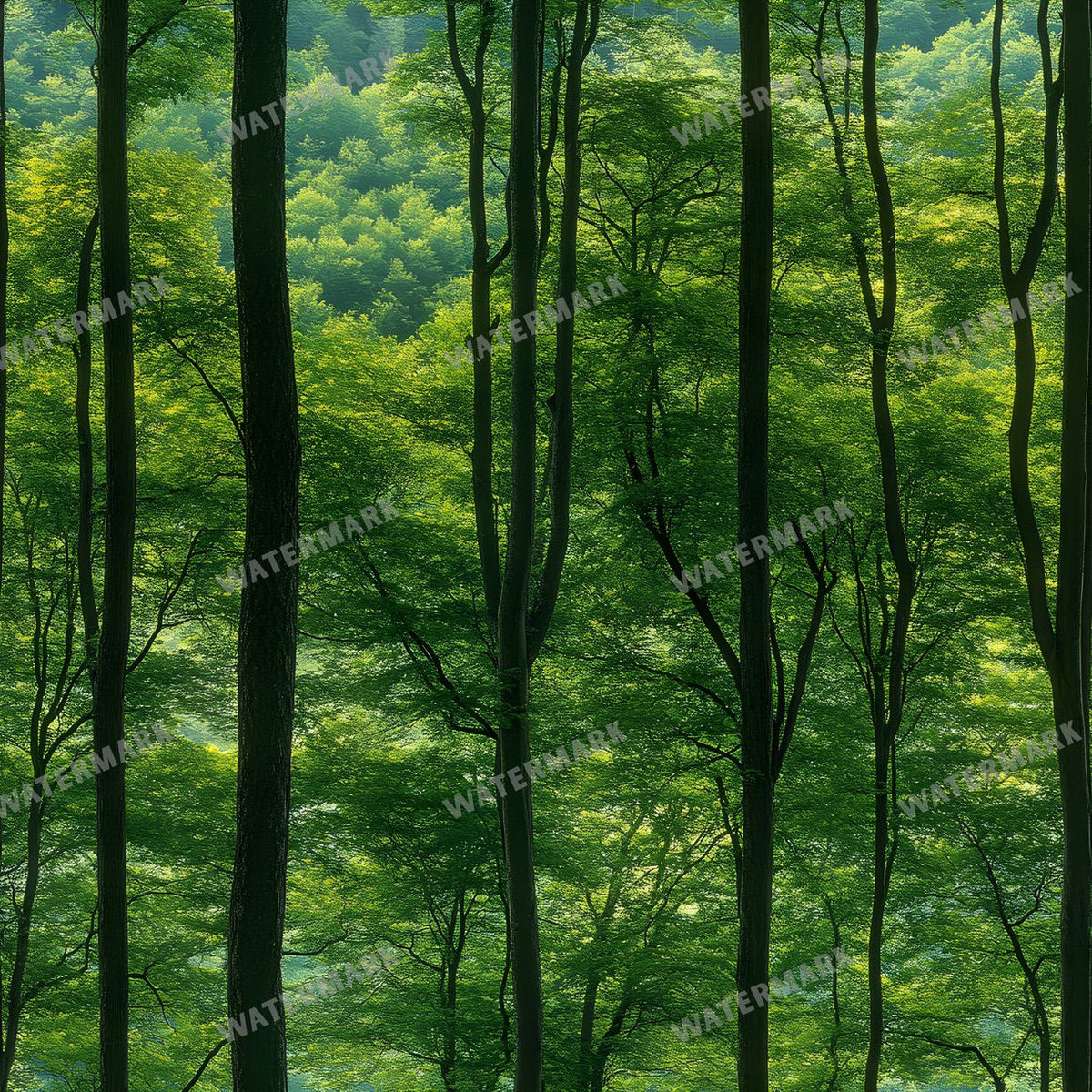 Forest Seamless Pattern