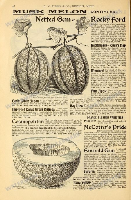 Fruit And Vegetables Vintage Prints