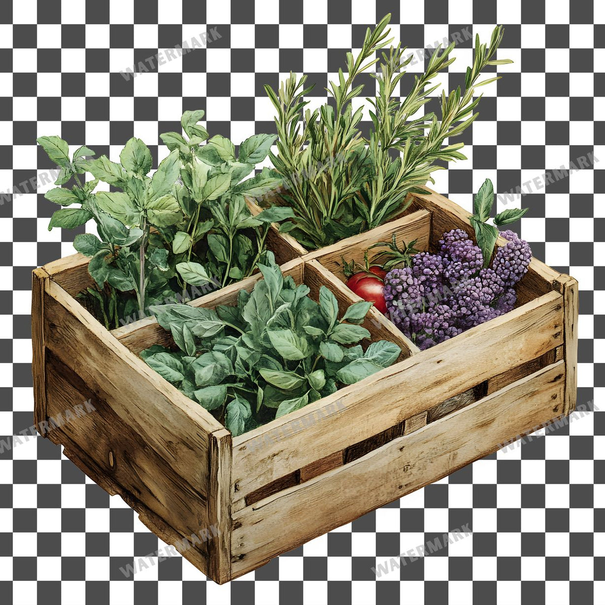 Herbs Vintage Style clipart PNG on a transparent background, design 7