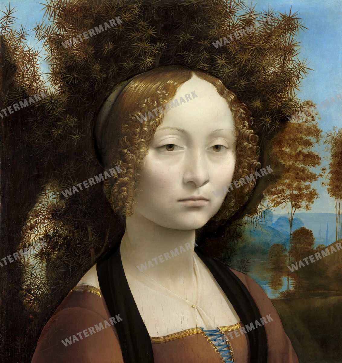 Leonardo Da Vinci Vintage Paintings