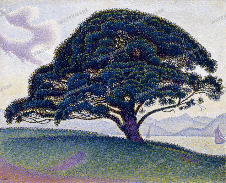 Paul Signac Vintage Paintings