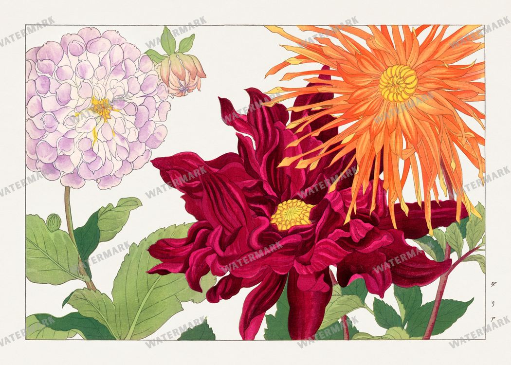 Seiyô Sôka Zufu Vintage Paintings
