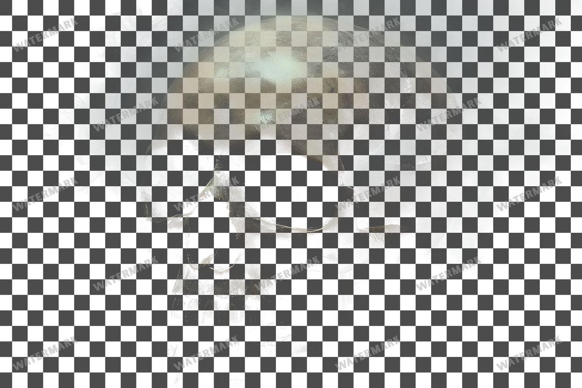 Small Gothic Skull Overlay With Foggy