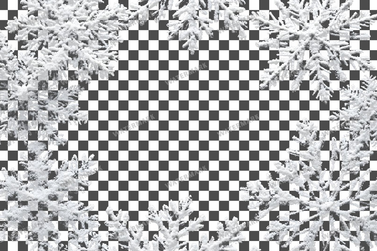 Snow Overlay