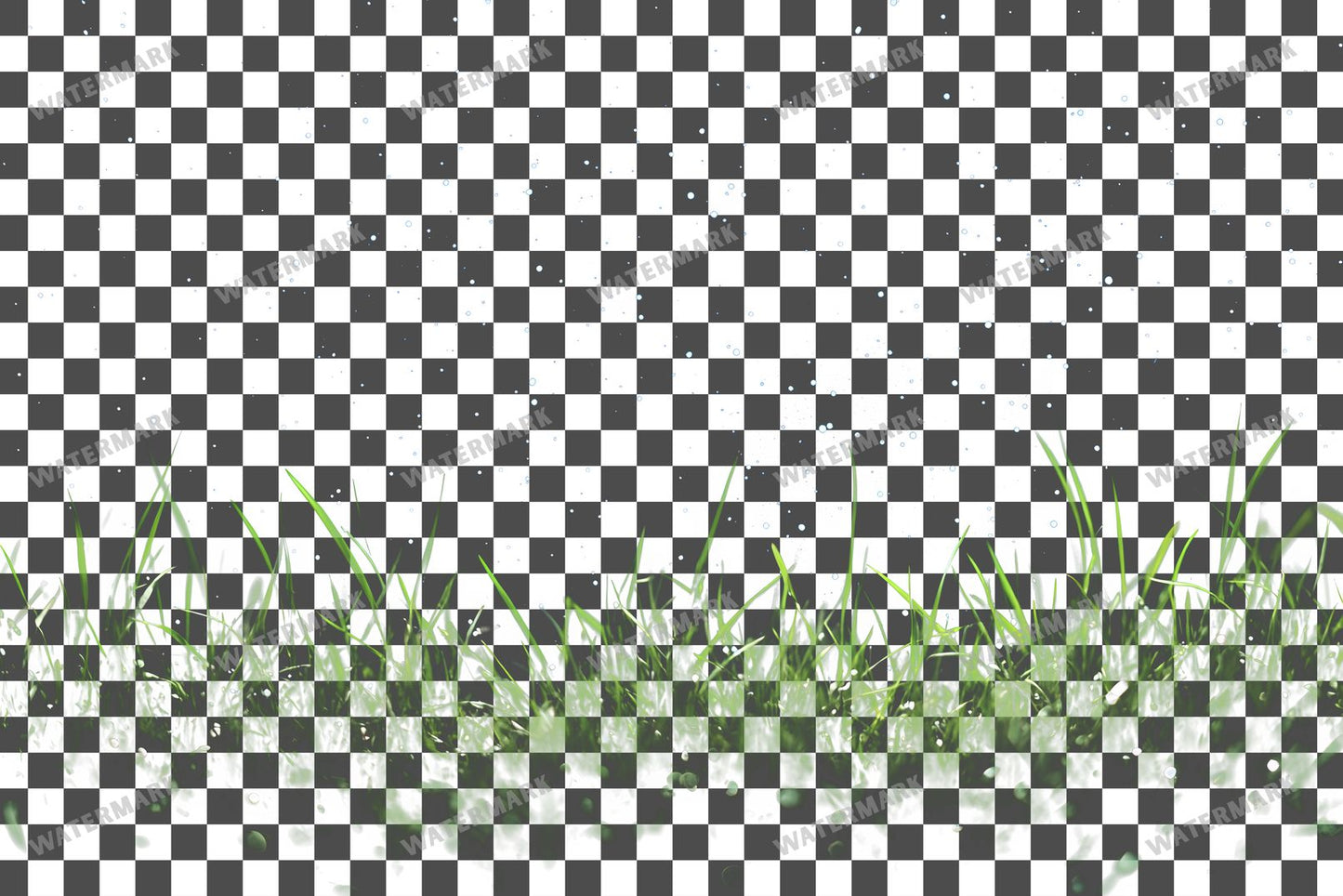 Starry Meadow Transparent Overlay Pngs