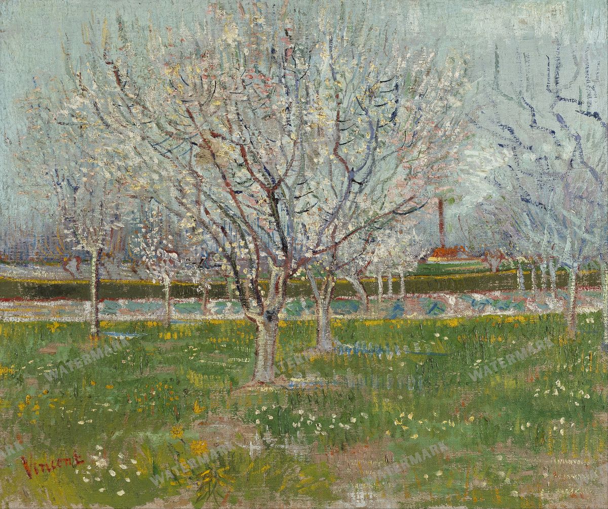 Vincent Willem Van Gogh Vintage Paintings