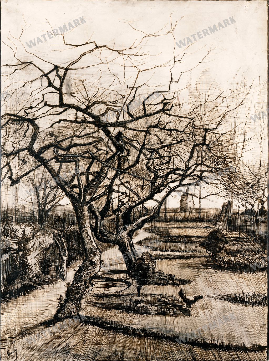Vincent Willem Van Gogh Vintage Paintings