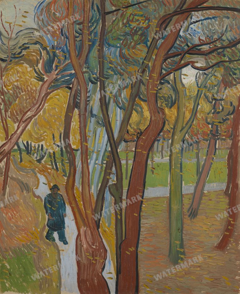 Vincent Willem Van Gogh Vintage Paintings