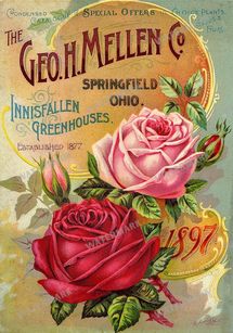 Vintage Roses Vintage Prints