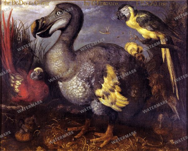 Wall Art Vintage Paintings