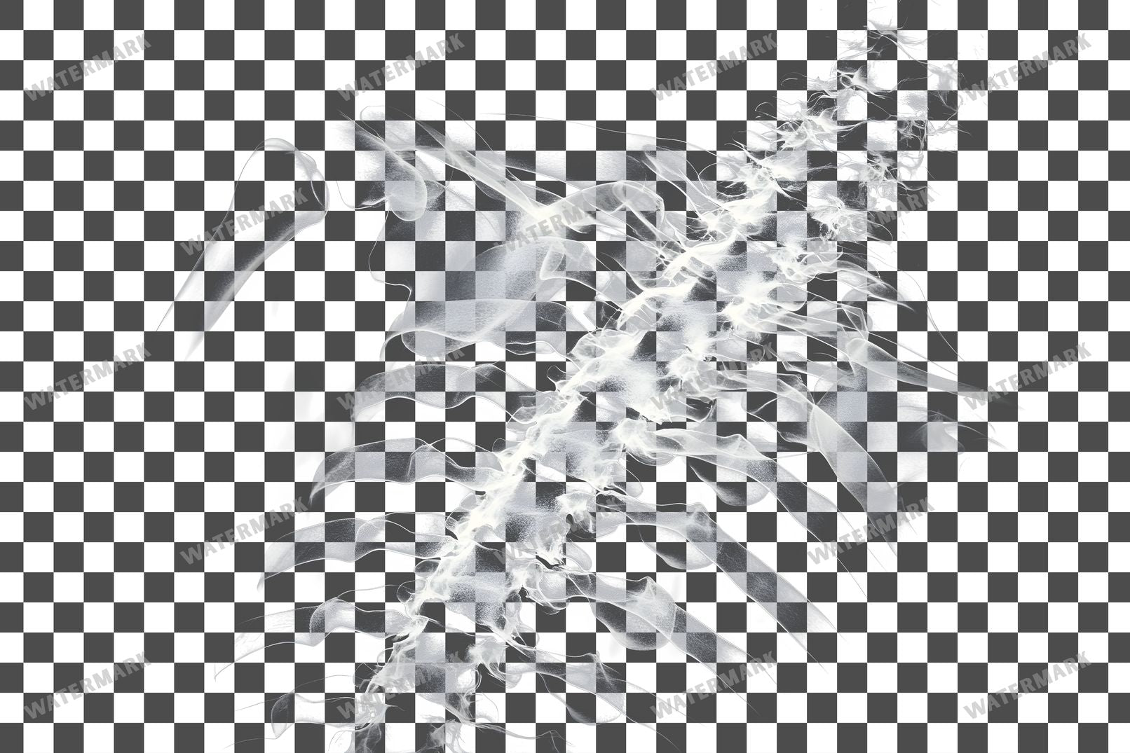 X-Ray Transparent Overlay Pngs
