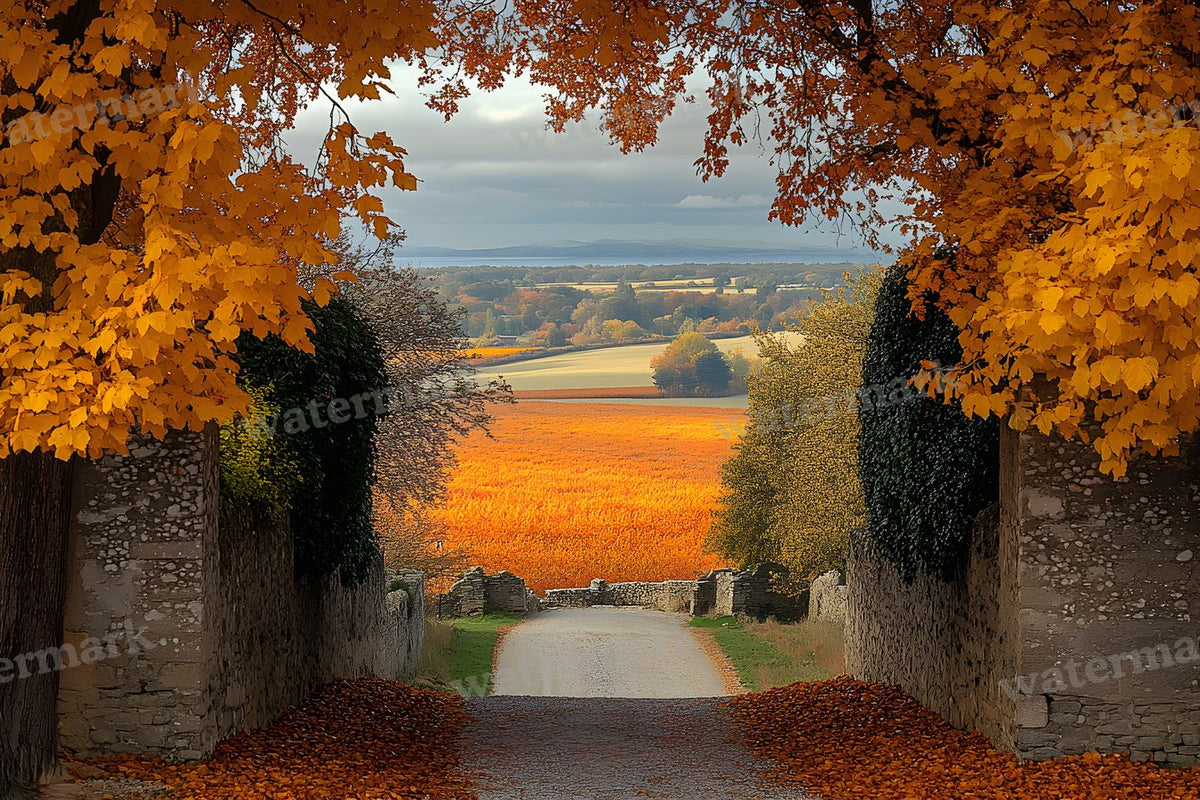 Autumn Castle Wallpov Backdrop Images
