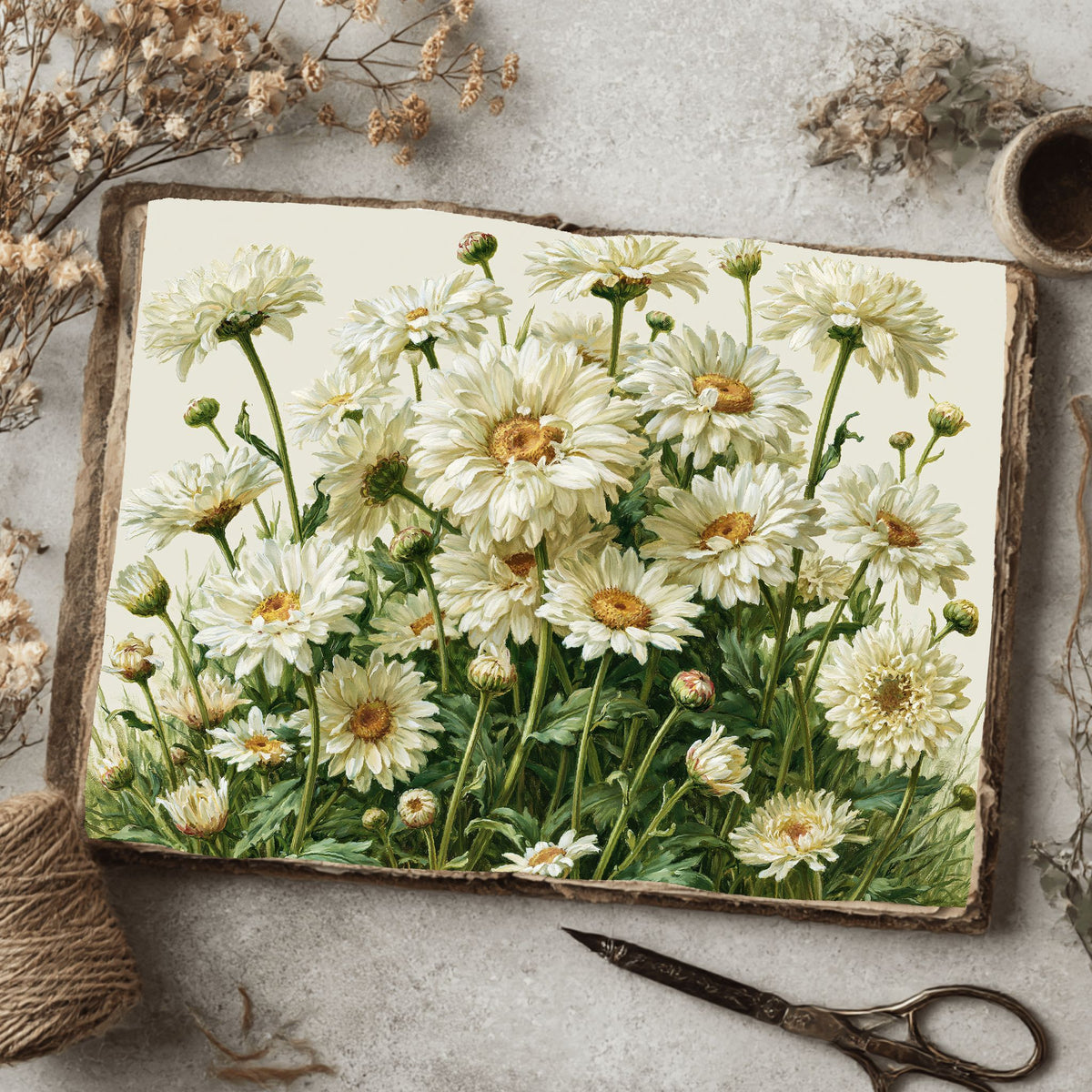 Meadow Daisy Botanical Cluster